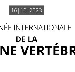 Journée Internationale de la colonne vertébrale - 2023