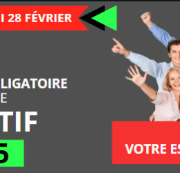 Déclaration Obligatoire des effectifs 2025