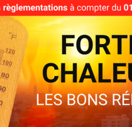 FORTES CHALEURS - LES BONS REFLEXES